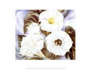 "Jimson Weed, 1935" - Art Print by Georgia O'Keeffe | Movie Poster Prints from Posterazzi