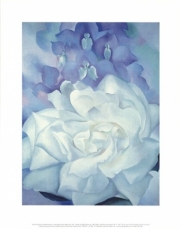 "White Rose with Larkspur No. 2, 1927" - Art Print by Georgia O'Keeffe | Movie Poster Prints from Posterazzi