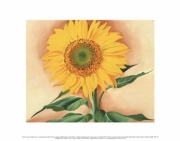 "A Sunflower from Maggie, 1937" - Art Print by Georgia O'Keeffe | Movie Poster Prints from Posterazzi
