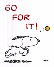 Go For It - Art Print by  Peanuts | Movie Poster Prints from Posterazzi