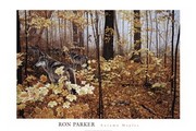 Autumn Maples - Art Print by Ron Parker | Movie Poster Prints from Posterazzi