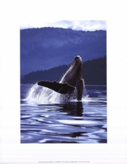 Humpback Whale - Art Print by Art Wolfe | Movie Poster Prints from Posterazzi