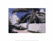 "A Garden in Nassau, 1885" - Art Print by Winslow Homer | Movie Poster Prints from Posterazzi
