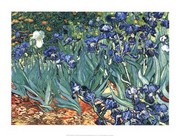 "Irises, Saint-Remy, c.1889" - Art Print by Vincent Van Gogh | Movie Poster Prints from Posterazzi
