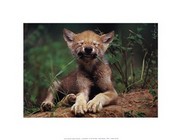 Simple Pleasures - Art Print by Art Wolfe | Movie Poster Prints from Posterazzi