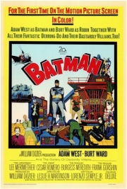 Batman - Photo Print | Movies, Music, TV Posters from Posterazzi
