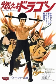 Enter the Dragon - Photo Print | Movies, Music, TV Posters from Posterazzi