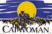 Batman Returns - Photo Print | Movies, Music, TV Posters from Posterazzi