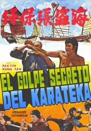 Secret Blow of Karate - Photo Print | Movies, Music, TV Posters from Posterazzi