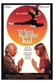The Next Karate Kid - Photo Print | Movies, Music, TV Posters from Posterazzi