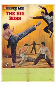Big Boss - Photo Print | Movies, Music, TV Posters from Posterazzi