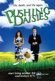 Pushing Daisies - Photo Print | Movies, Music, TV Posters from Posterazzi