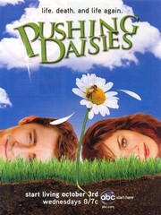 Pushing Daisies - Photo Print | Movies, Music, TV Posters from Posterazzi