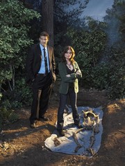 Bones (TV) - Photo Print | Movies, Music, TV Posters from Posterazzi