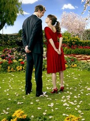 Pushing Daisies - Photo Print | Movies, Music, TV Posters from Posterazzi