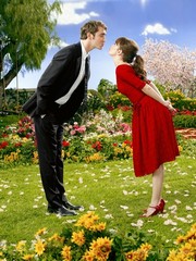 Pushing Daisies - Photo Print | Movies, Music, TV Posters from Posterazzi
