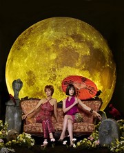 Pushing Daisies - Photo Print | Movies, Music, TV Posters from Posterazzi