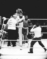 Ali/H Cooper - Photo Print | Movies, Music, TV Posters from Posterazzi