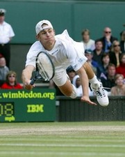 Andy Roddick - Photo Print | Movies, Music, TV Posters from Posterazzi