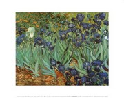 "Irises in the Garden, Saint-Remy, c.1889" - Art Print by Vincent Van Gogh | Movie Poster Prints from Posterazzi