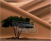 Bourseiller- Acacia - Art Print | Movie Poster Prints from Posterazzi