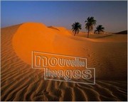 Bourseiller- Algerie - Art Print | Movie Poster Prints from Posterazzi