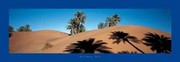 Barbey Morocco 37.5 x 13 Poster Print
