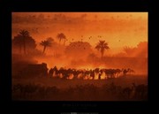 "luc Manaud - Fachi Oasis, Niger" - Art Print by Jean-Luc Manaud | Movie Poster Prints from Posterazzi