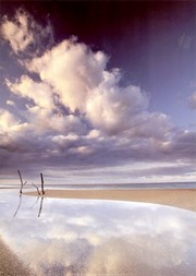 "Beach, Panama" - Art Print by Art Wolfe | Movie Poster Prints from Posterazzi