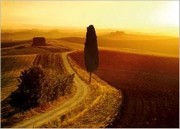 "Sinies Crete, Tuscany" - Art Print | Movie Poster Prints from Posterazzi