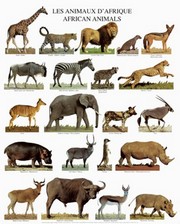 African Animals - Art Print by  Atelier Nouvelles Images | Movie Poster Prints from Posterazzi