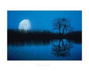 Moonlight - Art Print | Movie Poster Prints from Posterazzi
