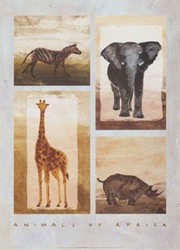 Teyras Animals of Africa 20 x 28 Poster Print