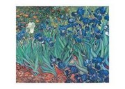 "Irises in the Garden, Saint-Remy, c.1889" - Art Print by Vincent Van Gogh | Movie Poster Prints from Posterazzi