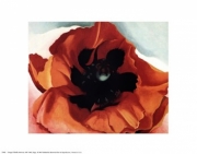 Poppy - Art Print by Georgia O'Keeffe | Movie Poster Prints from Posterazzi