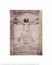 "Leonardo Da Vinci - Vitruvian Man, 1492 Size 5x7" - Art Print by Leonardo Da Vinci | Movie Poster Prints from Posterazzi