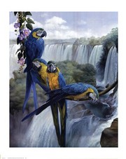 Iguazu - Art Print by Gabriela Ezcurra | Movie Poster Prints from Posterazzi