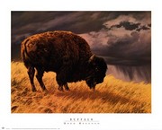 Buffalo - Art Print by Greg Beecham | Movie Poster Prints from Posterazzi