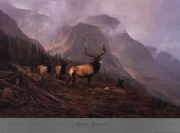 Bookcliffs Elk - Art Print by Michael Coleman | Movie Poster Prints from Posterazzi