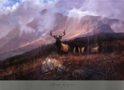 Bookcliffs Elk I I - Art Print by Michael Coleman | Movie Poster Prints from Posterazzi
