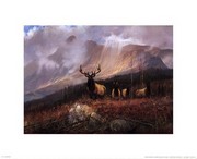 Bookcliffs Elk I I - Art Print by Michael Coleman | Movie Poster Prints from Posterazzi