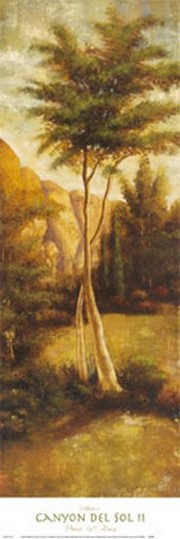 Canyon del Sol II - Art Print by  Williams | Movie Poster Prints from Posterazzi