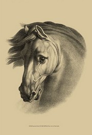 Equestrian Portrait I - Art Print by  Vision studio | Movie Poster Prints from Posterazzi