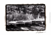 Lake Living IV - Art Print by Laura Denardo | Movie Poster Prints from Posterazzi