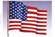 American Flag (H) - Art Print by Chariklia Zarris | Movie Poster Prints from Posterazzi