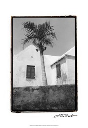 Bermuda Shade - Art Print by Laura Denardo | Movie Poster Prints from Posterazzi