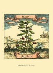 Basil - Art Print by Johan Theodore De Bry | Movie Poster Prints from Posterazzi