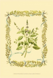 Basil - Art Print by Wendy Russell | Movie Poster Prints from Posterazzi
