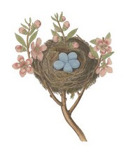 Antique Bird's Nest I - Art Print by James Bolton | Movie Poster Prints from Posterazzi