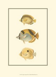 Antique Tropical Fish I - Art Print by  Vision studio | Movie Poster Prints from Posterazzi